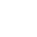 Analyze Performance & Reports